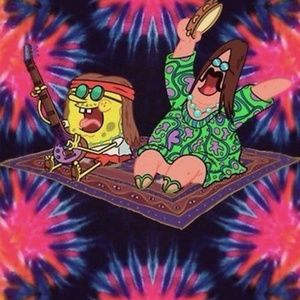 Meet your Posher, Hailey